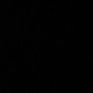 Meet your Posher, Maddie